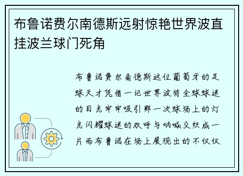 布鲁诺费尔南德斯远射惊艳世界波直挂波兰球门死角